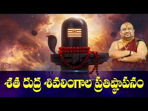 Shata Rudra shivalinga pratishta Schedule | Sravana Masam | 2025 August 13-20 | Siddhaguru