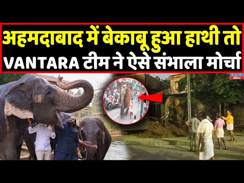 Ahmedabad में हाथी के बेकाबू होते ही तुरंत पहुंची Anant Ambani की Vantara Team । Headlines India