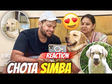 Reacting On Simba’s CHILDHOOD Photos😍 #vlog