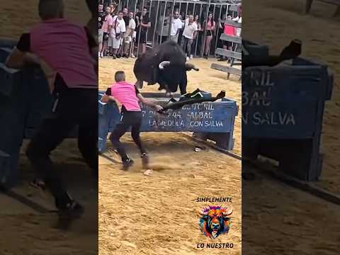 GRAN TORO PARA EL RECUERDO‼️ CAMINANTE DE EL CALI