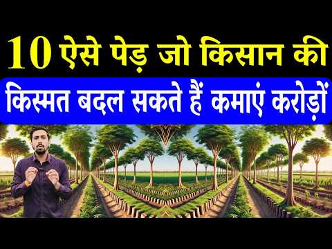 10 पेड़ जो किसान की किस्मत बदलकर दिला सकते हैं करोड़ों की कमाई | Tree Farming in India