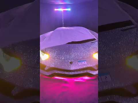 الوحيده في مصر 🇪🇬 و أفريقيا بالصلاه علي النبي 💚 باكتر من مليون قطعه كريستال سواروفسكي 💎