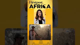Forest Fires Ravage Morocco | Firstpost Africa | Subscribe to Firstpost | N18G