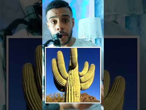 ٣ مشروبات ممنوع تشربهم مهما حصل😱!!