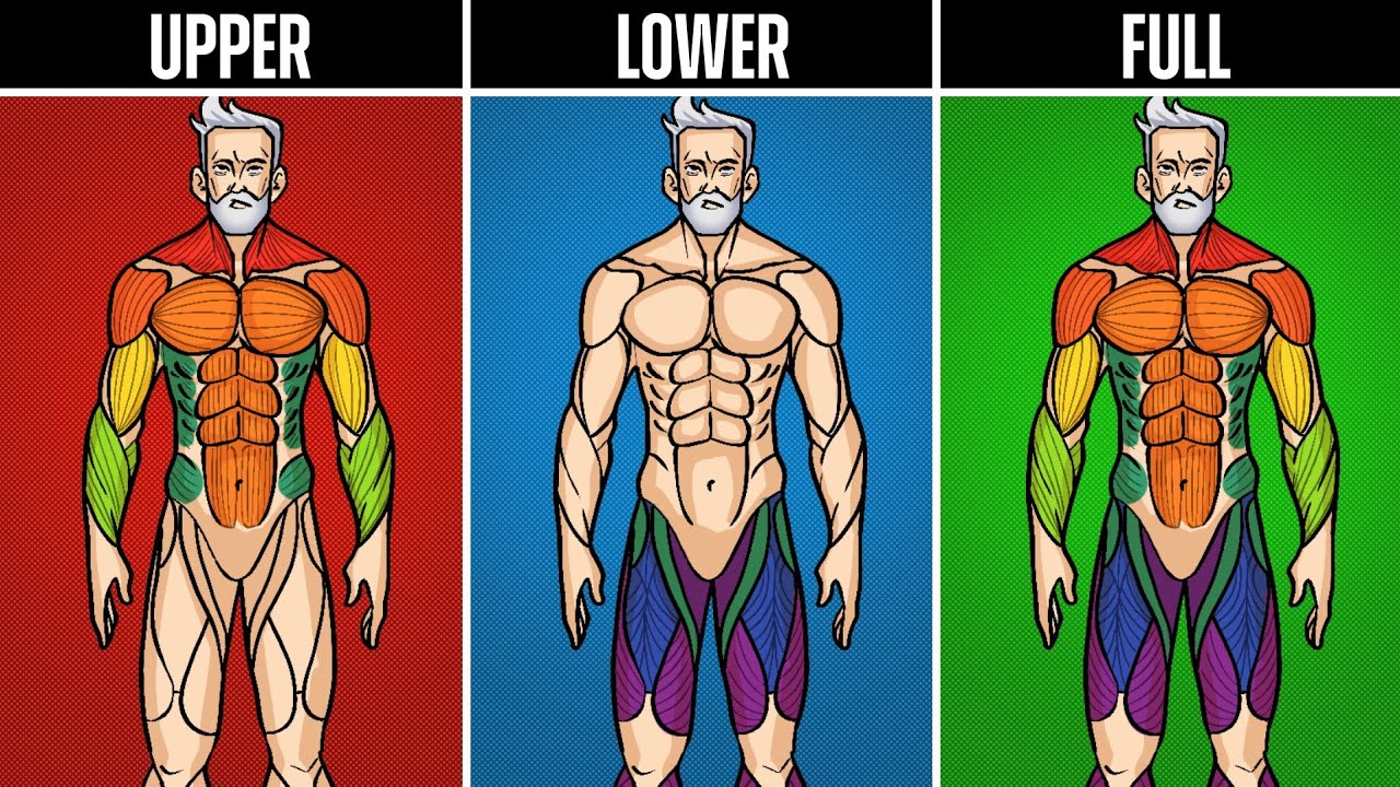 Top 3 Workout Splits for Muscle Growth (men over 40)