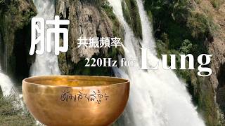 220Hz Lung Frequency 肺 共振頻率 | Tibetan Singing Bowl Healing Sound 頌缽療癒音頻  |  EP555