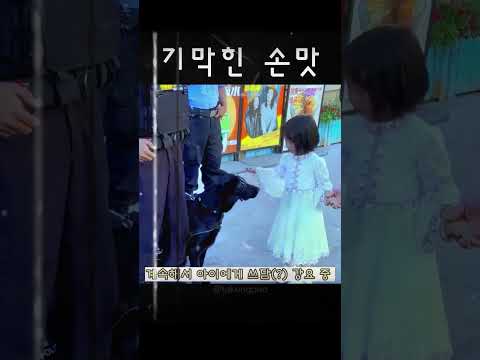 손맛 죽이네..