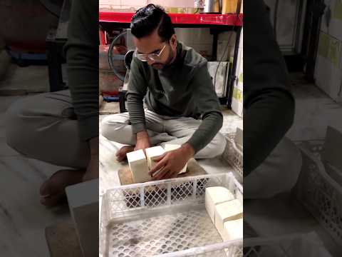 Frozen Paneer Samosa Making Factory In Surat #shortsfeed #shorts