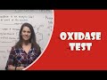Oxidase Test and Enzyme Functions