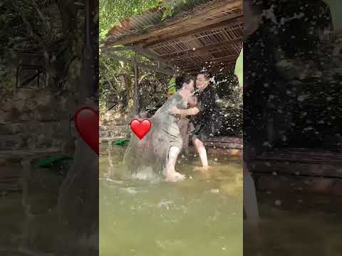 Dẫn bầu đi suối thư giãn và cái kết #ericvano #funny #giadinh