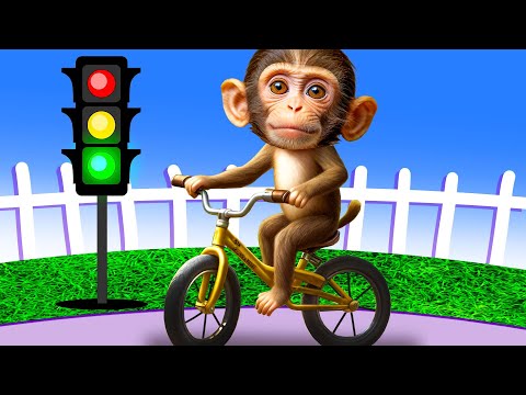 Monkey baby Shark 🤣 Best Compilation | Monkey Baby Show #monkeybaby #monkeybabyshark