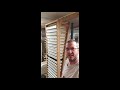 Mealworm Life Cycle and Care
