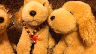 The Air Buddies Episode 9: A New Coach