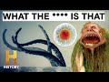 Mysteries of the Deep Sea