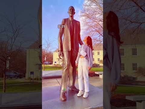World's Tallest Man vs Tallest Family #shortvideo