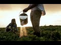 Water Security and Sustainable Development Goals
