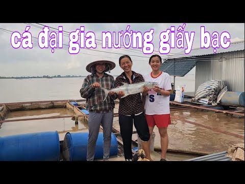 Lâu Lâu Ăn Sang Một Bữa Cá Đại Gia Có Tiền Ăn Không Có Nướng Giấy Bạc # SĂN BẮT ĐỒNG THÁP #