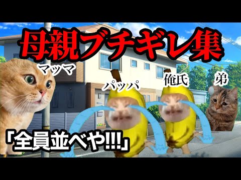 お母さんがガチギレする瞬間まとめてみたwwww【総集編】1~10話 おまけ付き #猫ミーム #猫マニ #あるある