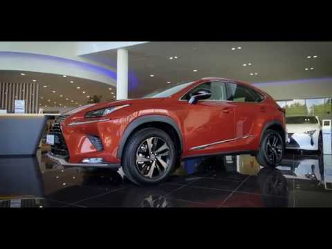Lexus NX Sport+