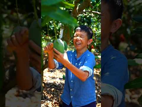 চুরি করে আম খাবু 😱#shortvideo #youtubeshorts #viralvideo