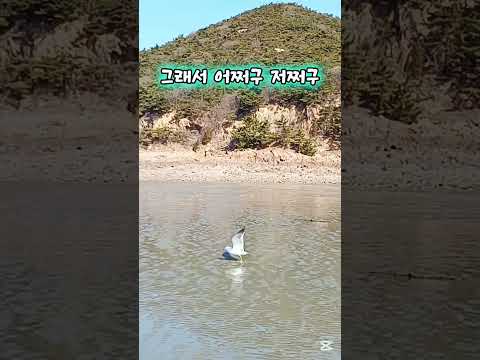 반말은 못 참지 컬투쇼 레전드사연  #컬투쇼 #유머