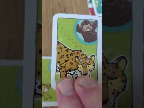 Anleitung: Die Schule der magischen Tiere - Auf die Plätze!
