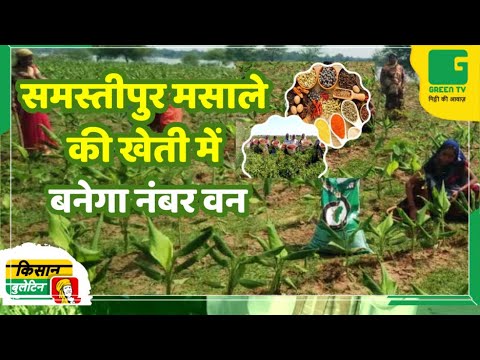 समस्तीपुर मसाले की खेती में बनेगा नंबर वन | Kisan Bulletin | 04-07-2025