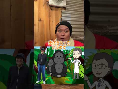 メスゴリラがわざわざ子供を見せにきてくれた話　#shorts 　   #動物         #ゴリラ