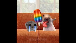 Banana Cat vs Hamster – Funniest Cartoon Battles! (Episode 5 - 8)