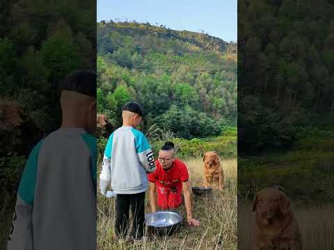 If you don't have a dog, you don't know the fun of raising a dog. Rural life. Go to eat rice wit