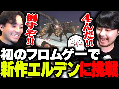 初めてのフロムゲーで、今話題の新作エルデンリングに挑戦するボドカ【ボドカ/k4sen/おぼ/ELDEN RING NIGHTREIGN】