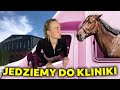 Zawody i plany Aleki