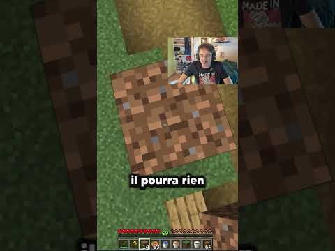 Ce Golem Minecraft est Trop BIZARRE...