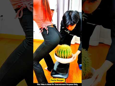 कांटो पर बैठाया 😂🥵😱 ~New Viral Gadgets~ smart appliances~ Kitchen Utensils #ytshorts