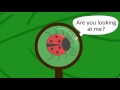 Understanding Magnification and Focus