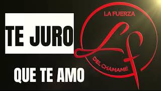 LA FUERZA DEL CHAMAME 2025 Te Juro Que Te Amo
