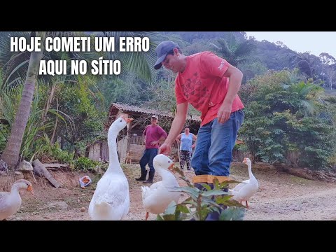 ROTINA NO SÍTIO: VIVEIRO DAS CODORNAS, TRABALHO NO POMAR DE FRUTÍFERAS