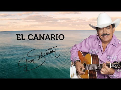 EL CANARIO LYRIC VIDEO OFICIAL