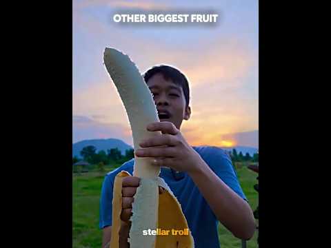 Other Biggest Fruit VS This One☠️🥭