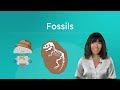 Understanding Fossils and Their Significance