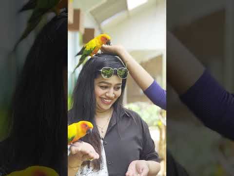 Yuga-க்கு பயமே இல்ல பாம்ப அசால்ட்டா புடிக்குறா | Gayathri From Aminjikarai