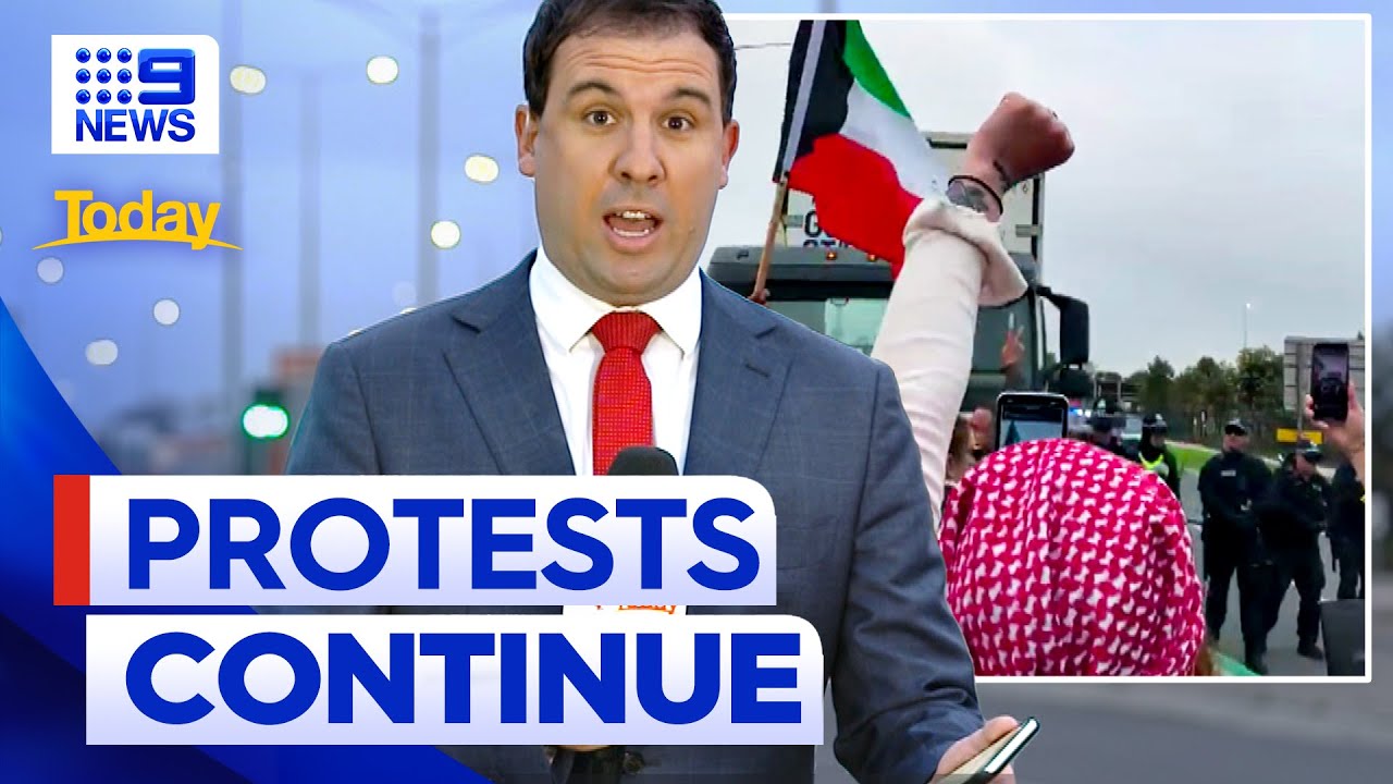 Pro-Palestinian protesters rally outside cargo port 