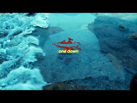 DJ Noize presents Davo - One Down (Official Lyric Video)