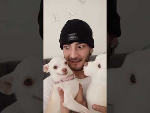 Niki just met her doll for the first time🤣