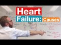 Heart Failure Causes and Mechanisms