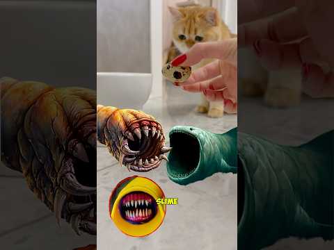 A death worm egg…in real life?! #cat #horror #deathworm