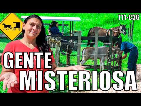 ⛔️ Así VIVEN los AMISH ultra CONSERVADORES de Estados Unidos 🇺🇸 Lancaster Pensilvania