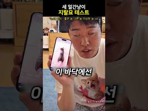 세 얼간냥이 지랄묘 테스트