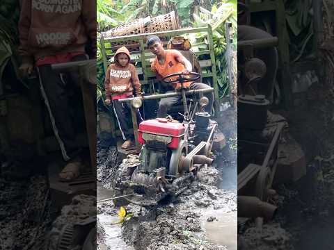 Xe công nông chở chuối gặp lún lầy lội cuộc sống KIU 81