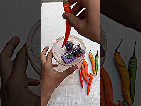 Powerful Mini Chilli Cutter Machine ๐ถ๏ธ DIY | Easy Home Project #DIY #ChilliCutter #HomemadeMachine